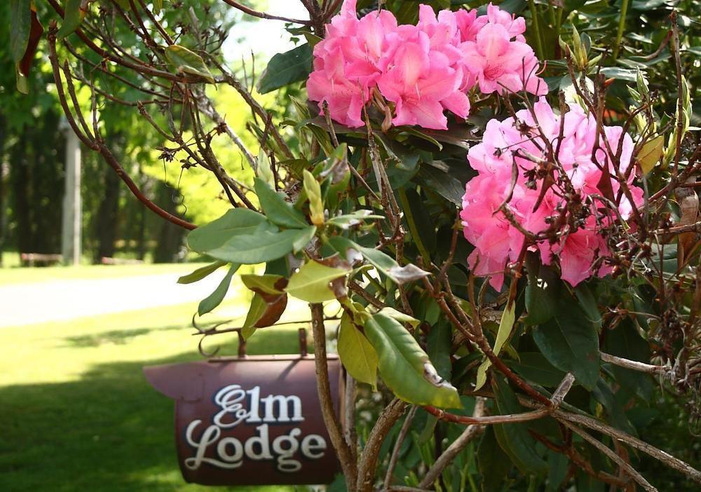 Elm Lodge 브라이트 외부 사진